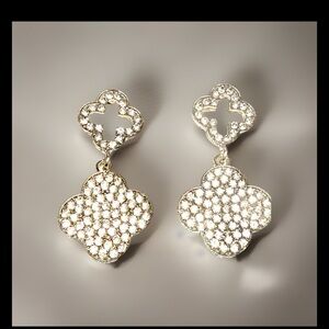 Dazzling Silver Floral Earrings